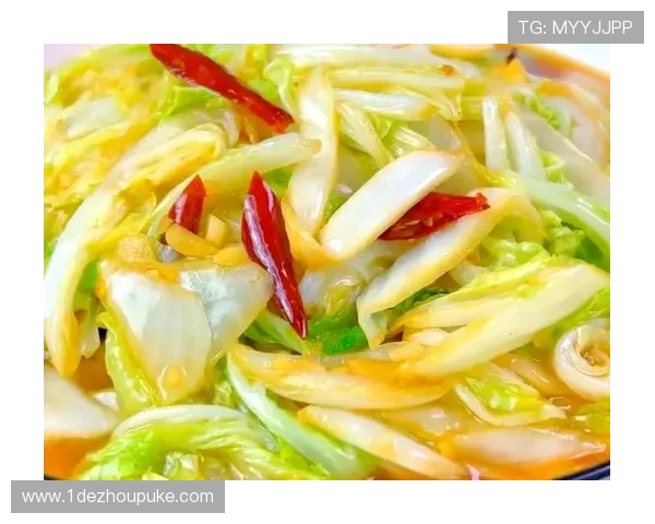 探索白菜专区：新鲜美味与健康食谱的完美结合